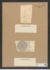 Coscinodiscus heteroporus var. moronensis Grun. (de-Toni-Nr.: Genus 202, Species 5017) Zeichnungen Sammlung Grunow Nr. 8729 (NHMW-BOT-W0378308)